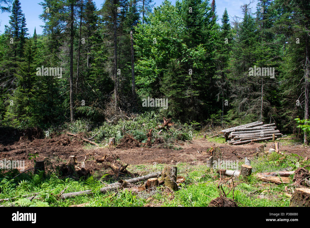 Land clearing hires stock photography and images Alamy