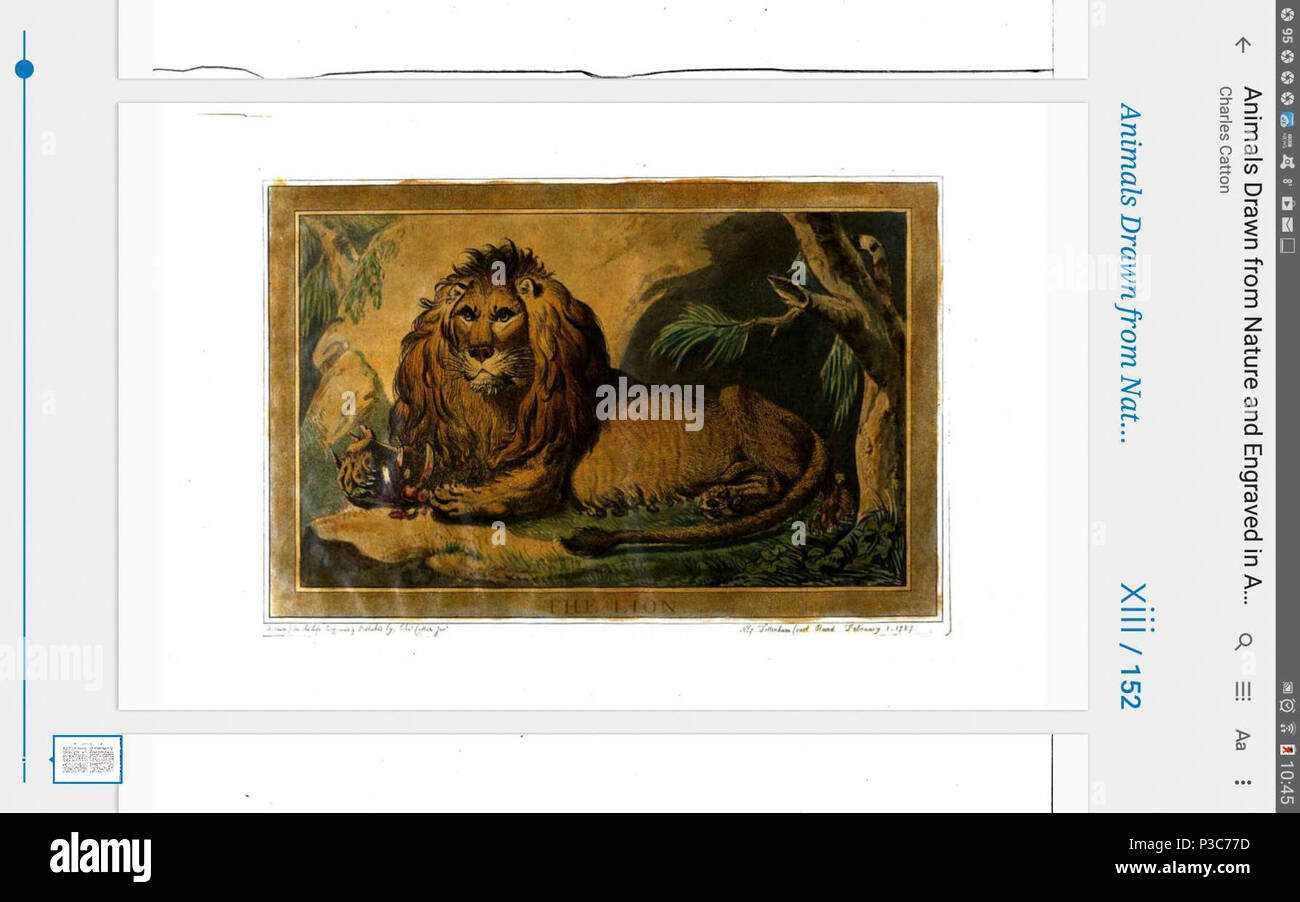 Cattons hi-res stock photography and images - Alamy