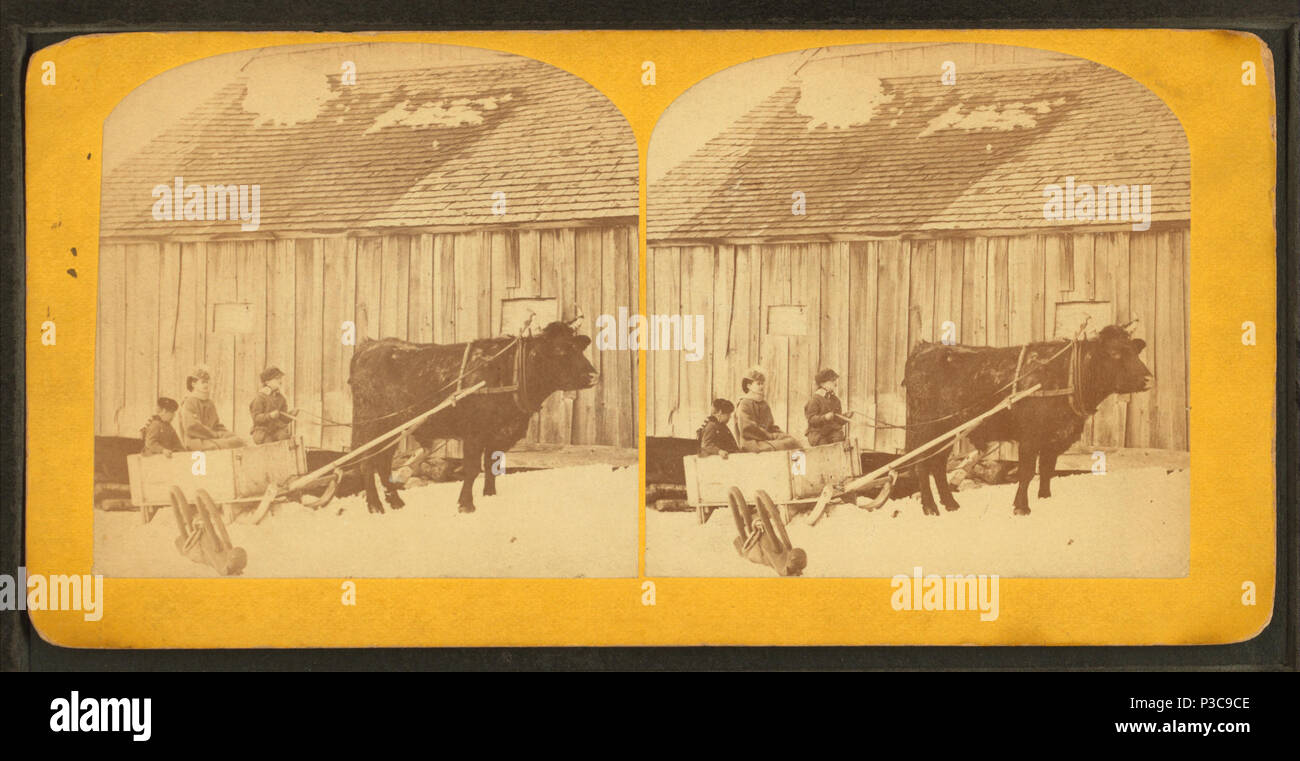 . Now we go.  Coverage: 1860?-1885?. Digital item published 2-16-2006; updated 2-23-2010. 216 Now we go, from Robert N. Dennis collection of stereoscopic views Stock Photo