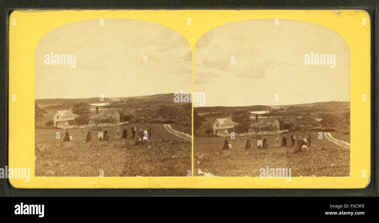 . Oak Grove Cottage, Magnolia Point. Alternate Title: Cape Ann scenery.  Coverage: 1858?-1890?. Source Imprint: 1858?-1890?. Digital item published 7-28-2005; updated 2-13-2009. 217 Oak Grove Cottage, Magnolia Point, by Procter Brothers Stock Photo