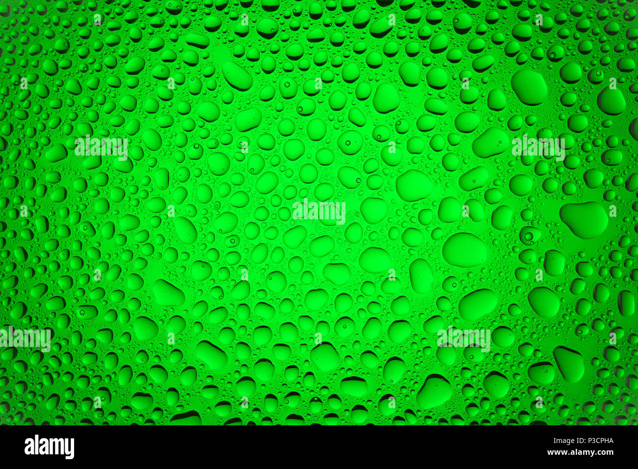 Close up of a water drops on a green gradient background, covered with ...