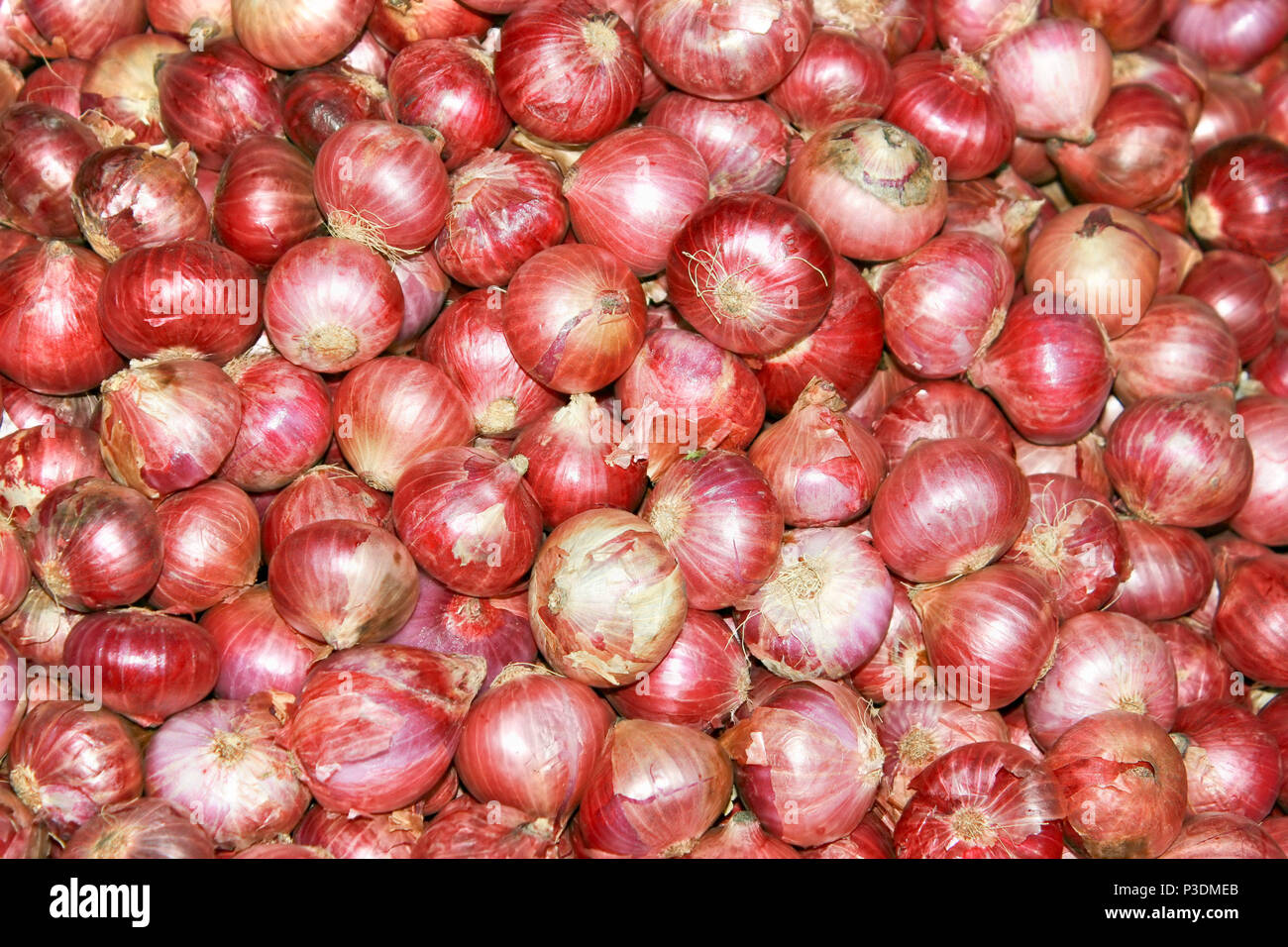 Onion restaurant salad india hi-res stock photography and images - Alamy