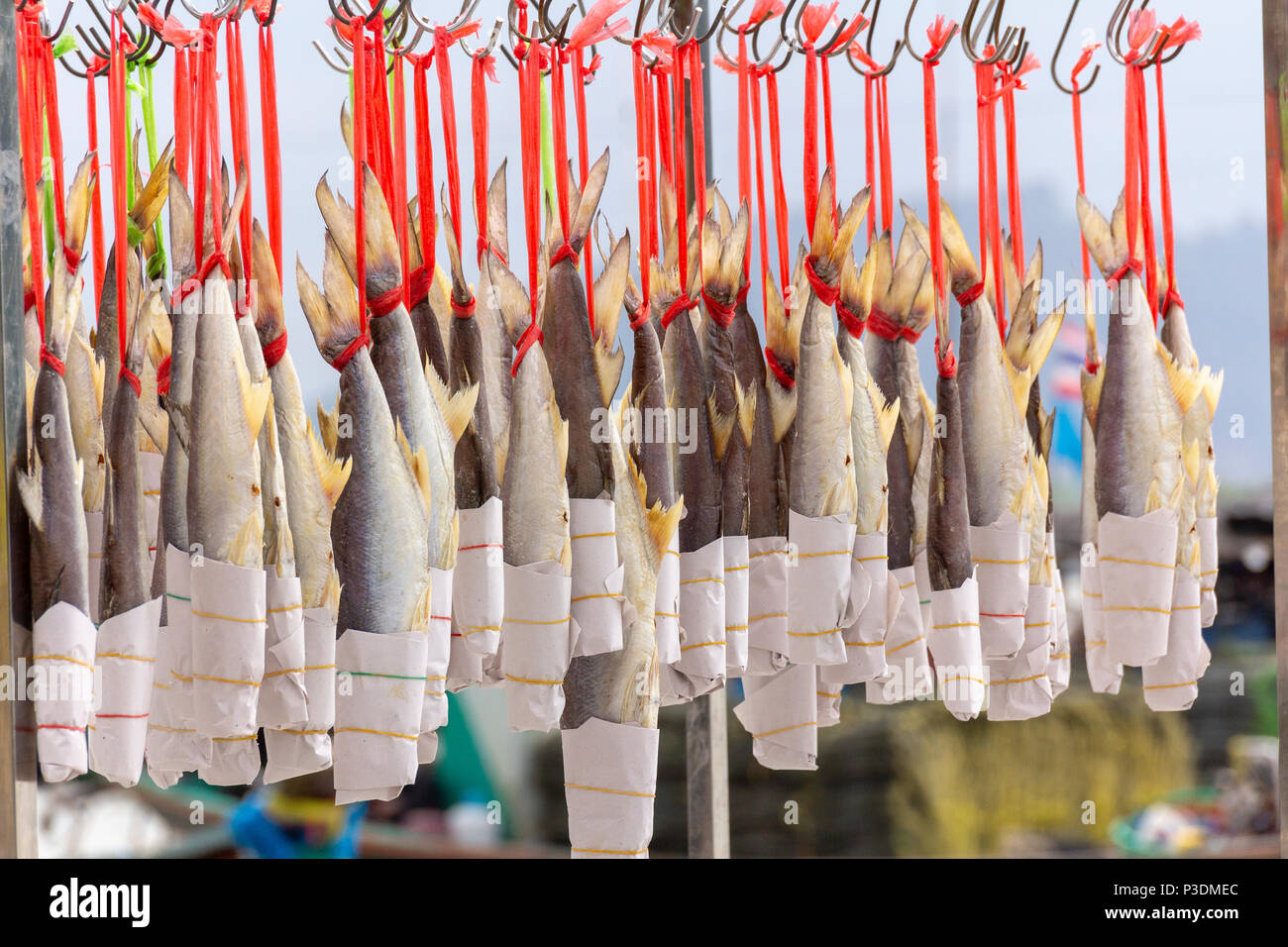 Sun dried salted fish hangs on wire Stock Photo