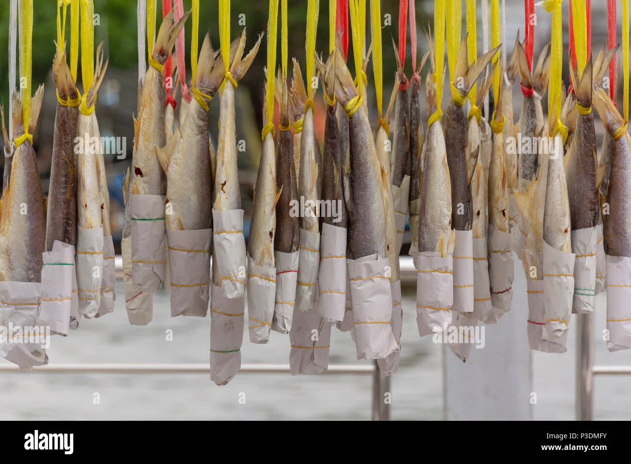 Sun dried salted fish hangs on wire Stock Photo