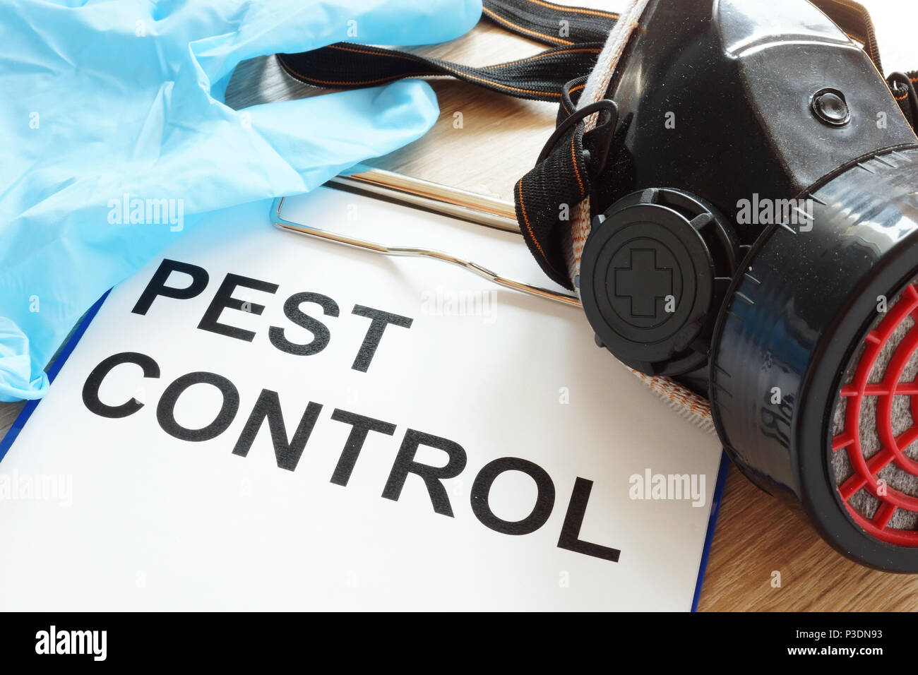 Pest control. Clipboard, respirator and gloves. Stock Photo