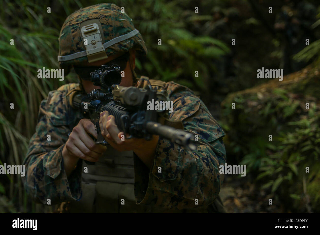 A Marine with Fox Company, Battalion Landing Team, 2nd Battalion, 5th ...