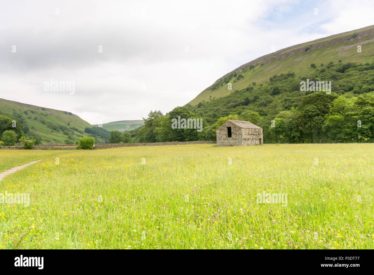 Muker hay meadows in June Stock Photo