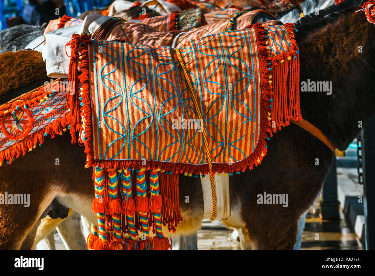 Close up of colorful decorated donkeys famous as Burro-taxi waiting for passengers in Mijas, a major tourist attraction. Andalusia, Spain Stock Photo