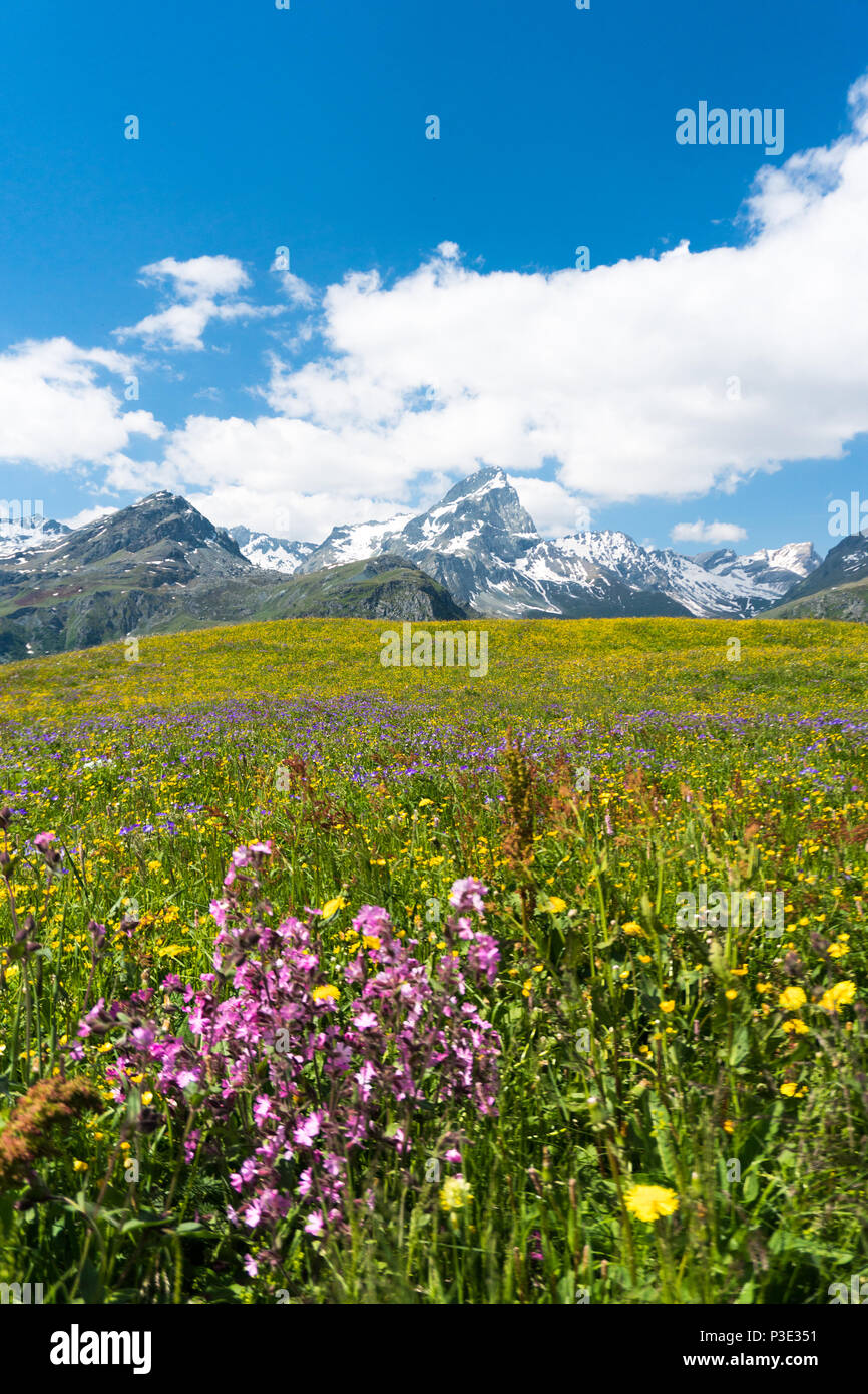 idyllic mountain landscape in the summertime Stock Photo