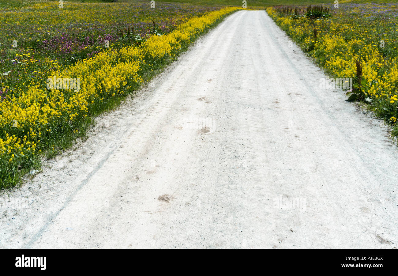 Wildflowers gravel hires stock photography and images Alamy