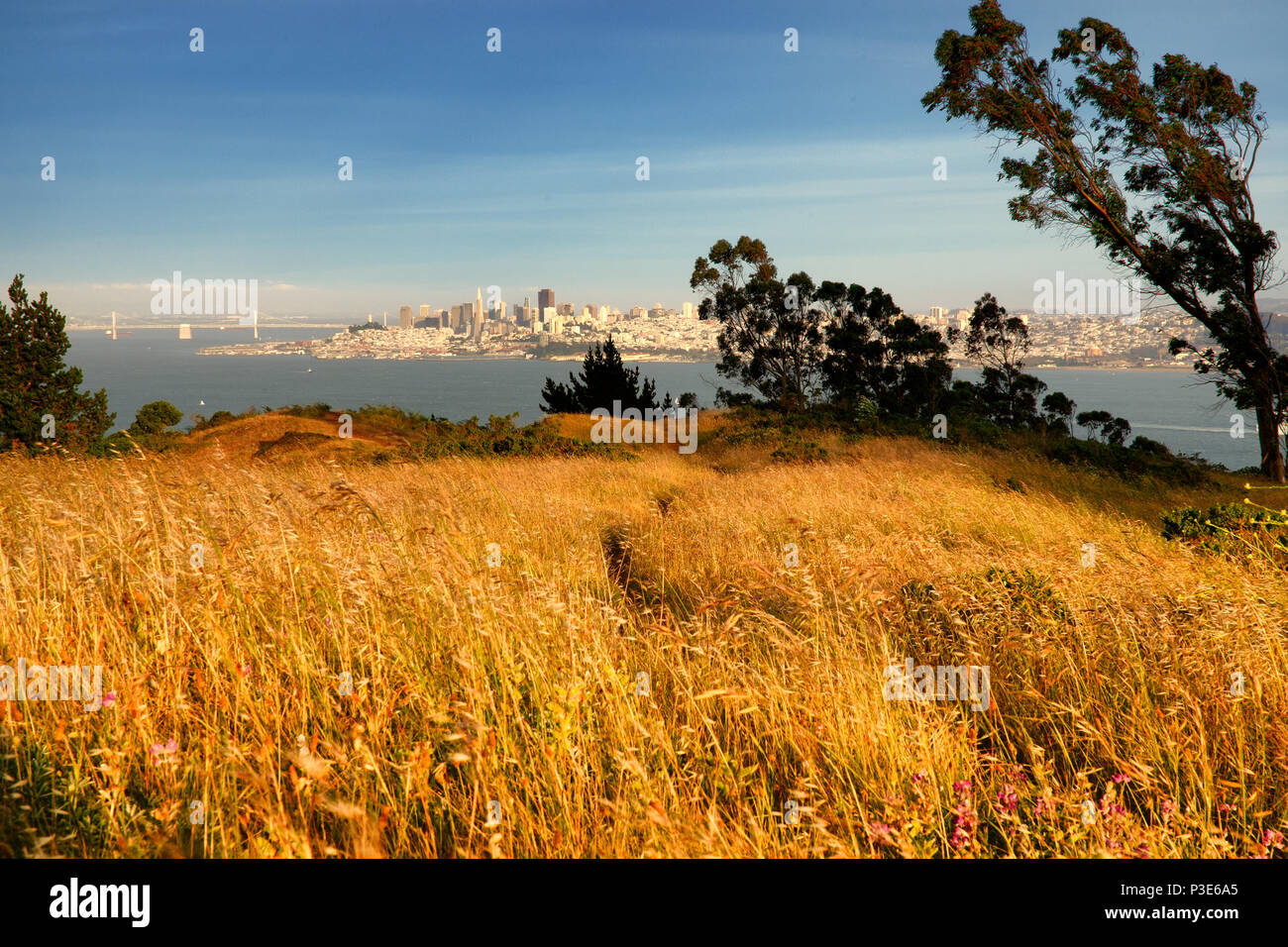 Headland of the Golden Gate National Recreation Area, The Presidio, San Francisco, California, USA Stock Photo