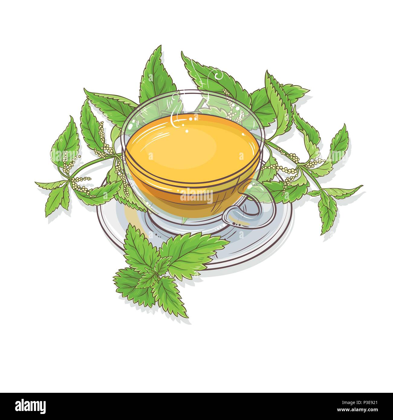 cup of nettle tea illustration on white background Stock Vector