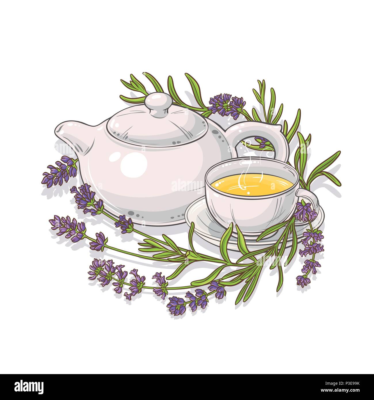 lavender tea in teapot illustration on white background Stock Vector