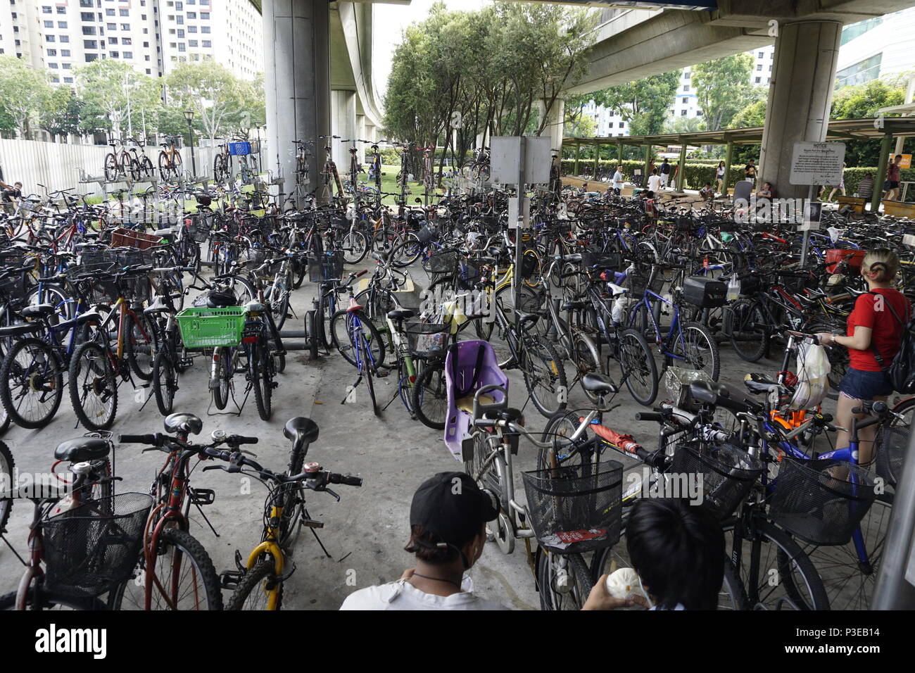bicycle on mrt