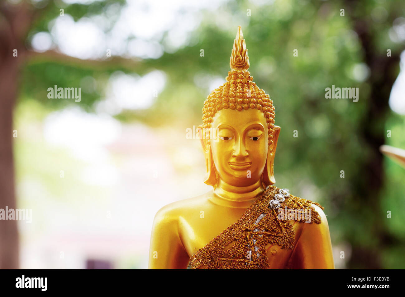 Buddha in the temple at sunlight of Thailand Stock Photo - Alamy