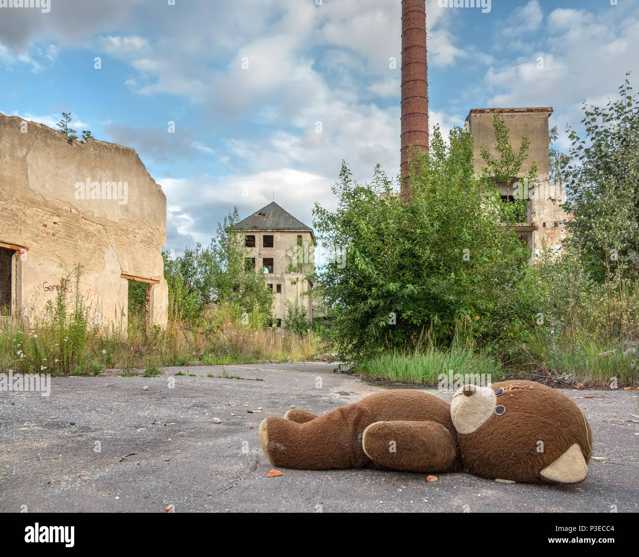 Abandoned and dilapidated factory overgrown of vegetation Stock Photo ...