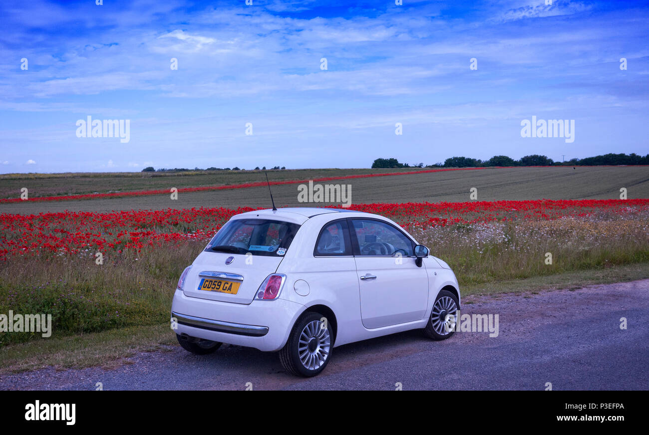 Fiat 500 parked by poppy field in Thanet Kent UK Stock Photo