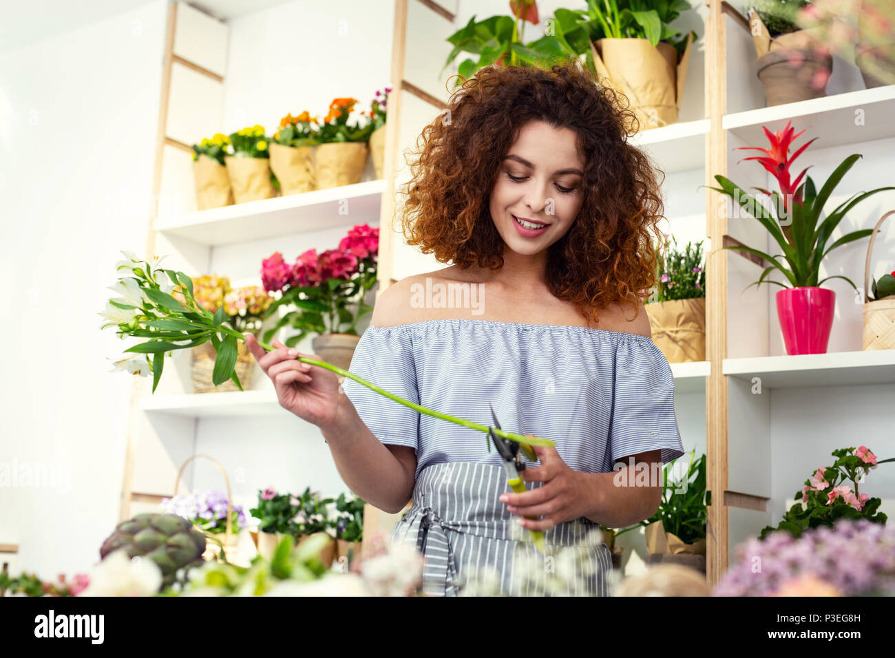 Nice young woman working Stock Photo