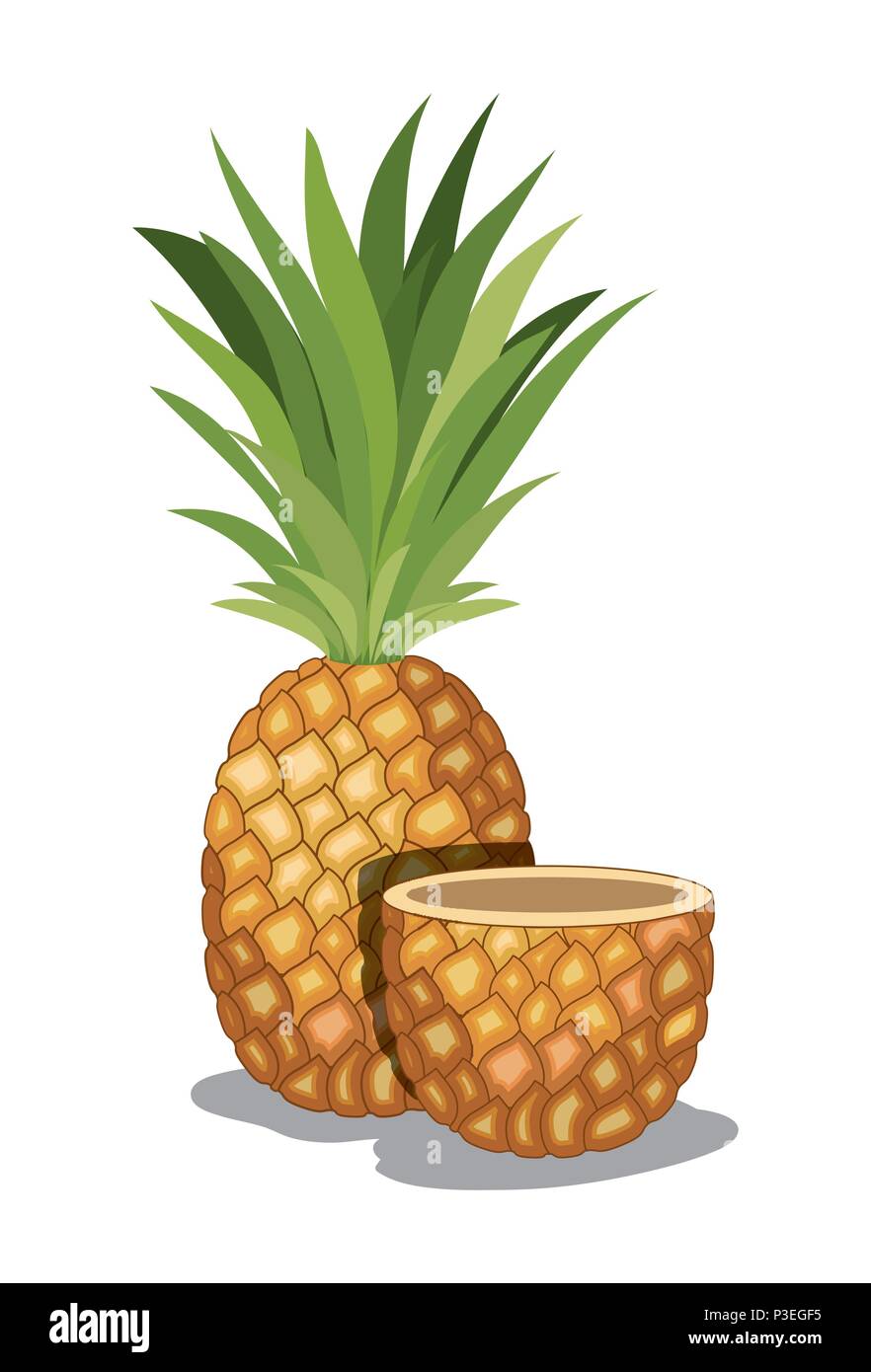 fresh pineapple fruit tropical Stock Vector Image & Art - Alamy