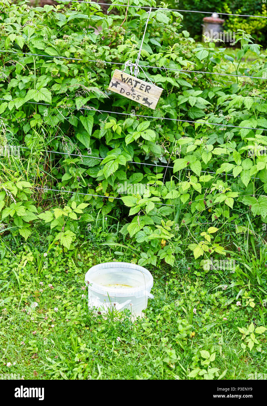A bowl of water for dogs to drink and a sign saying 'water for dogs' Manifold Valley, Staffordshire, England, UK Stock Photo