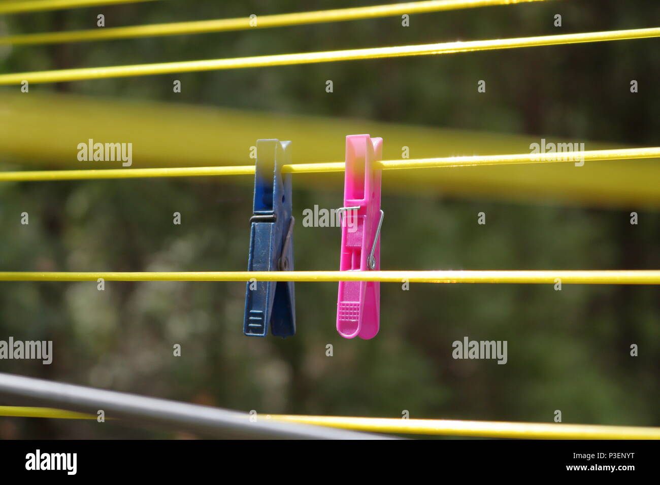 Blue and pink laundry pegs hung on a yellow washing line Stock Photo