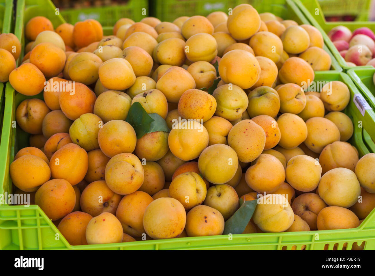 Apricot orange color hires stock photography and images Alamy