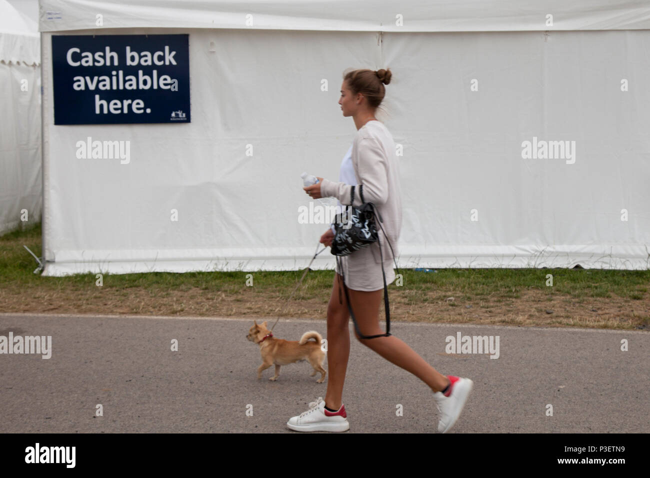 Cash back available here sign at the Equerry Bolesworth International Horse Show Stock Photo