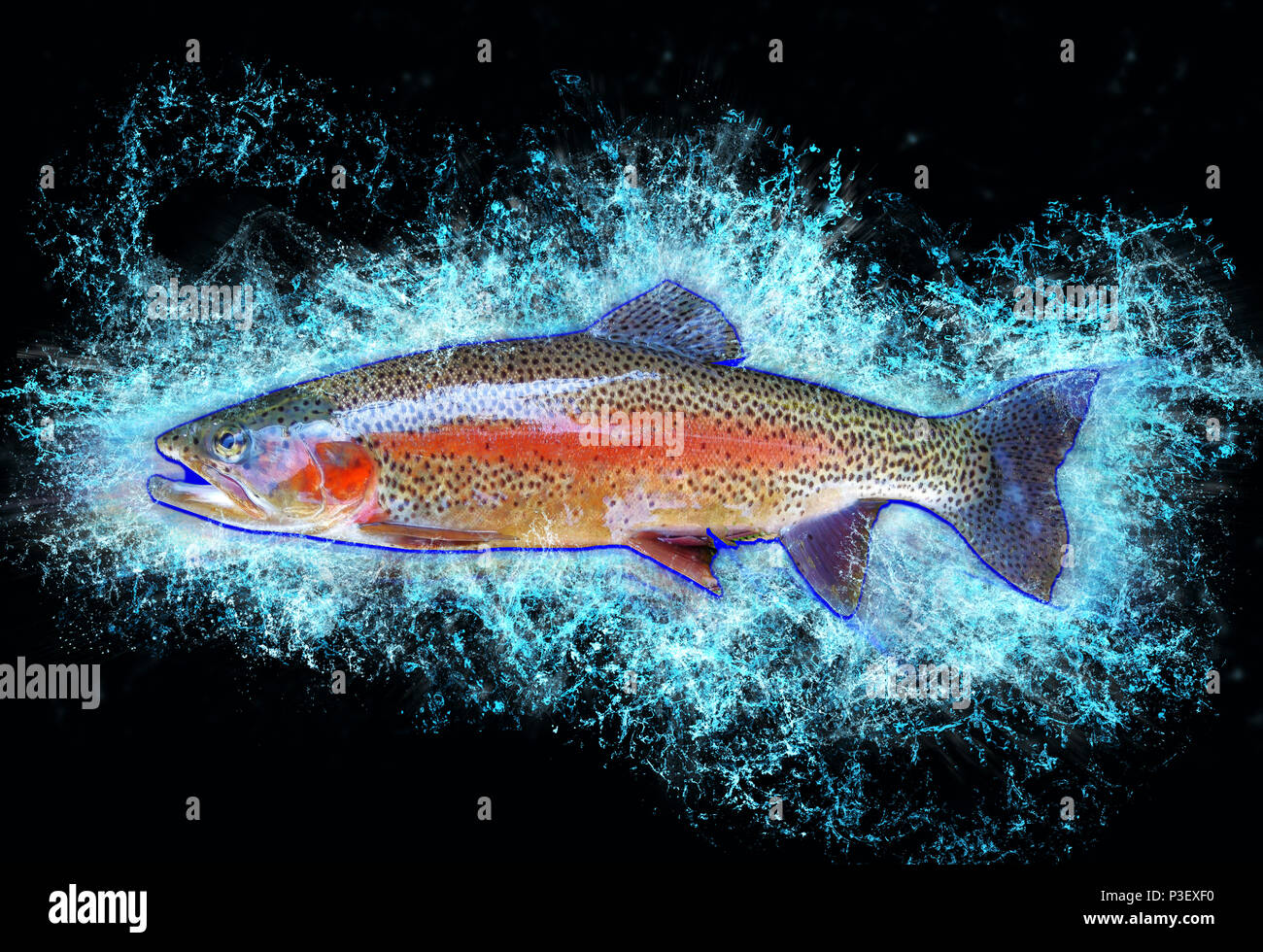 Digitally enhanced image of a side view of a trout Stock Photo - Alamy