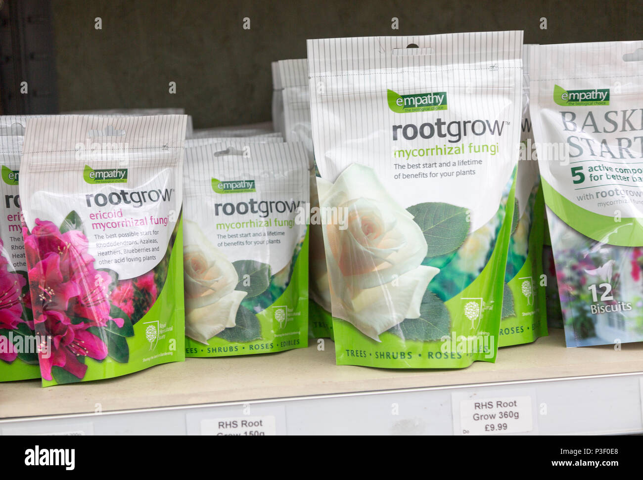 Mycorrhizal Fungi Stock Photos &amp; Mycorrhizal Fungi Stock 