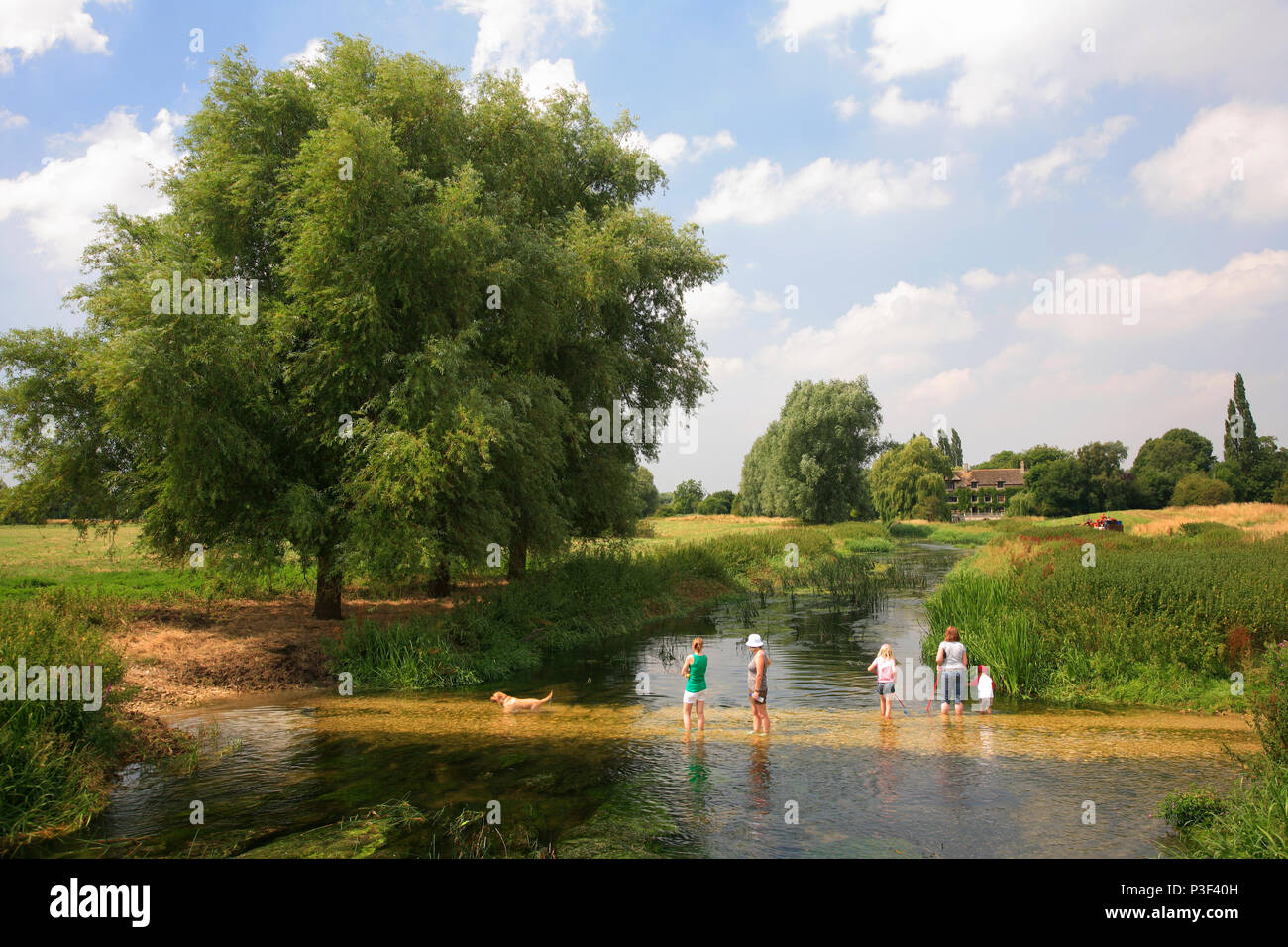 Summer view of the river Nene Valley near Castor village; Peterborough city; Cambridgeshire; England Stock Photo