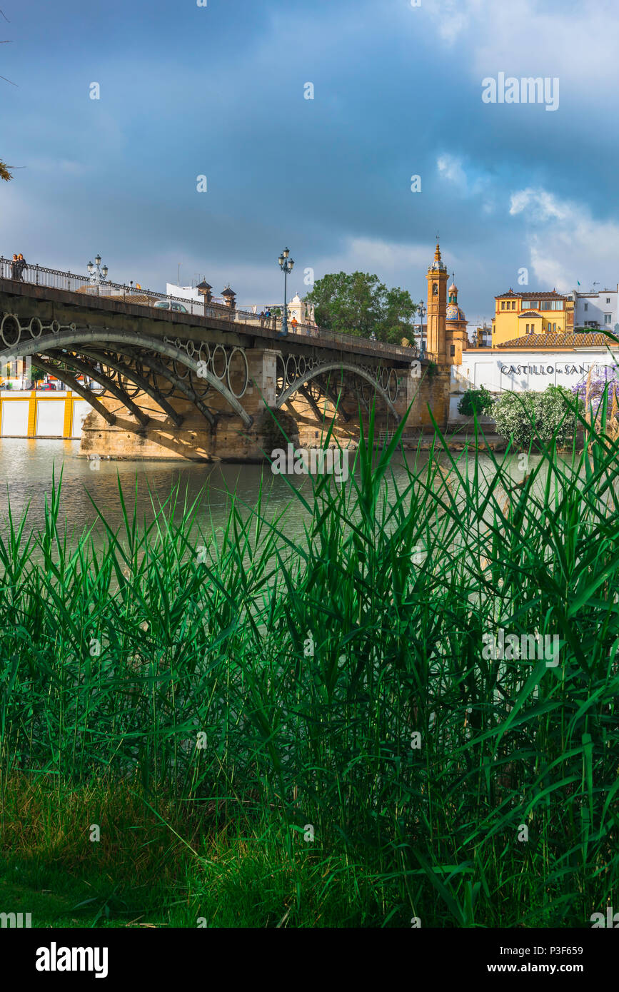 Bridge Seville, view of the Punte de Isabel II (Triana) bridge spanning the Rio Guadalquivir in Seville - Sevilla - Andalucia, Spain. Stock Photo