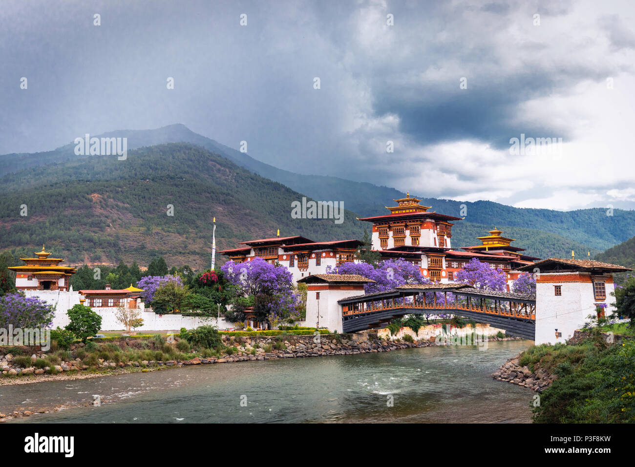 The beautiful Dzong of Punakha shining in the monsoon glory with purple trees to compliment. Stock Photo