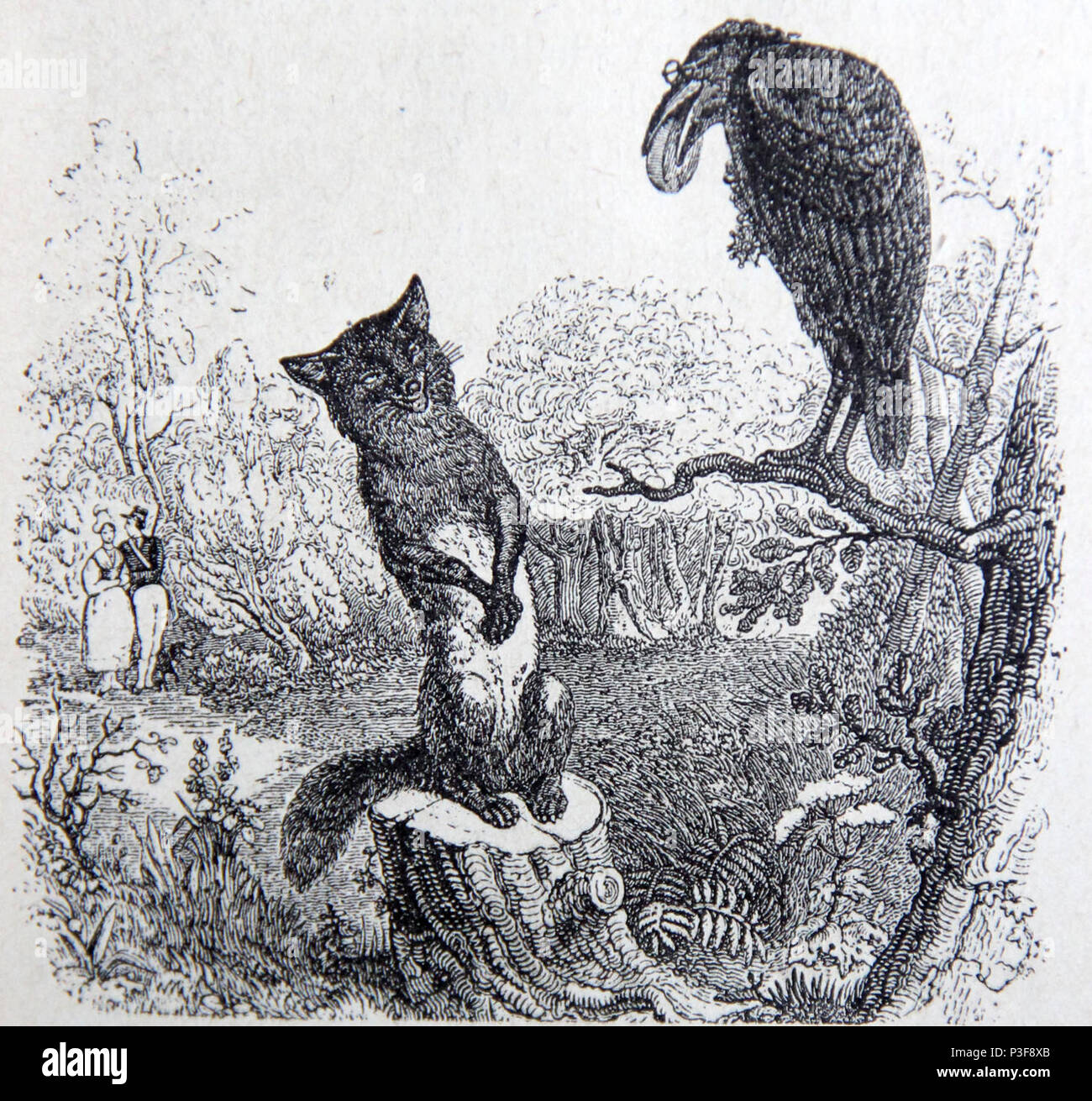 Illustration Le Corbeau Et Le Renard Dessin Le corbeau et le renard hi-res stock photography and images - Alamy