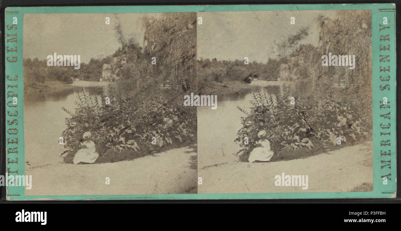 . The Pond, Central Park. Alternate Title: Stereoscopic gems, American scenery.  Coverage: [1860?-1875?]. Digital item published 4-12-2006; updated 6-25-2010. 318 The Pond, Central Park, by E. &amp; H.T. Anthony (Firm) Stock Photo