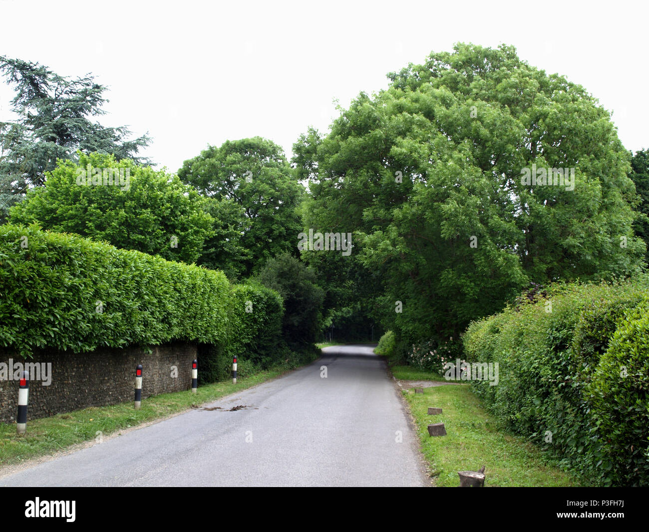 Country Lane in Woodmancote, on the West Sussex, Hampshire border in