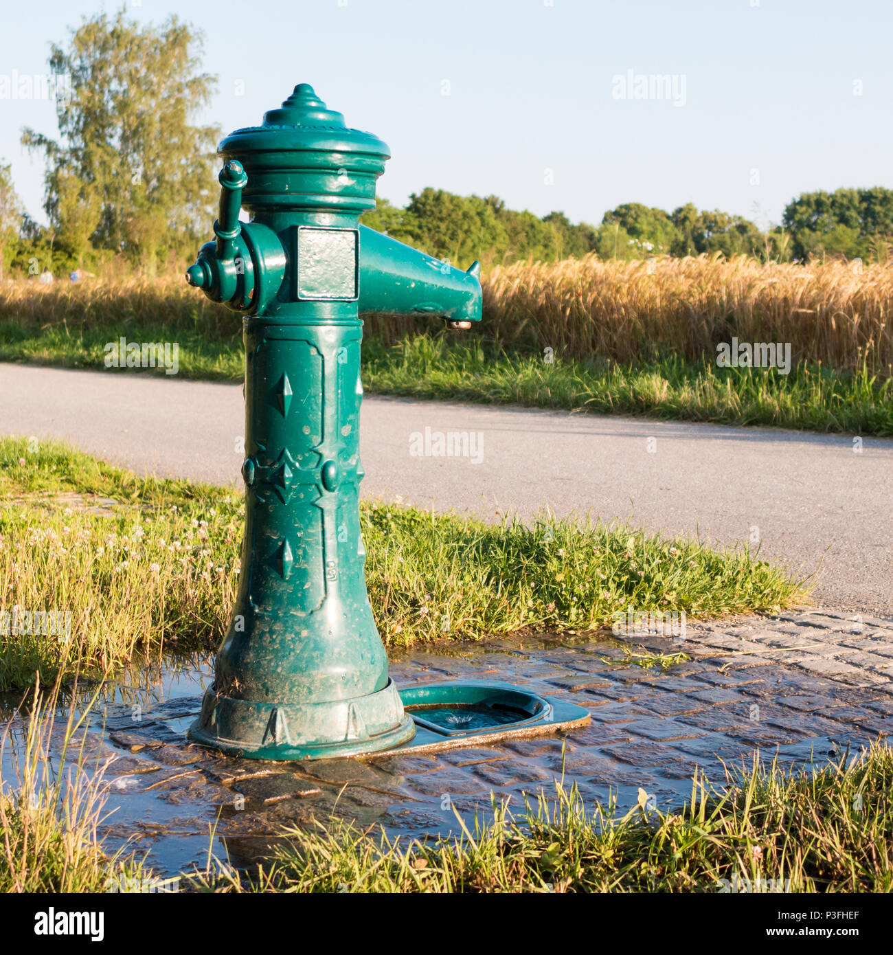A drinking fountain, also called a water fountain or bubbler, it is