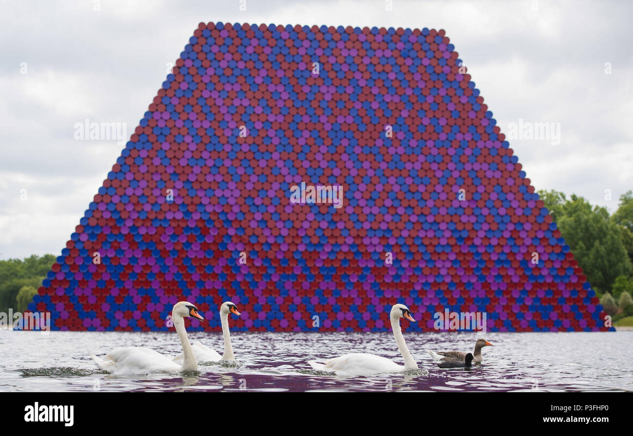 Swans swim near The London Mastaba, the first major work by the internationally acclaimed artist, Christo. Stock Photo