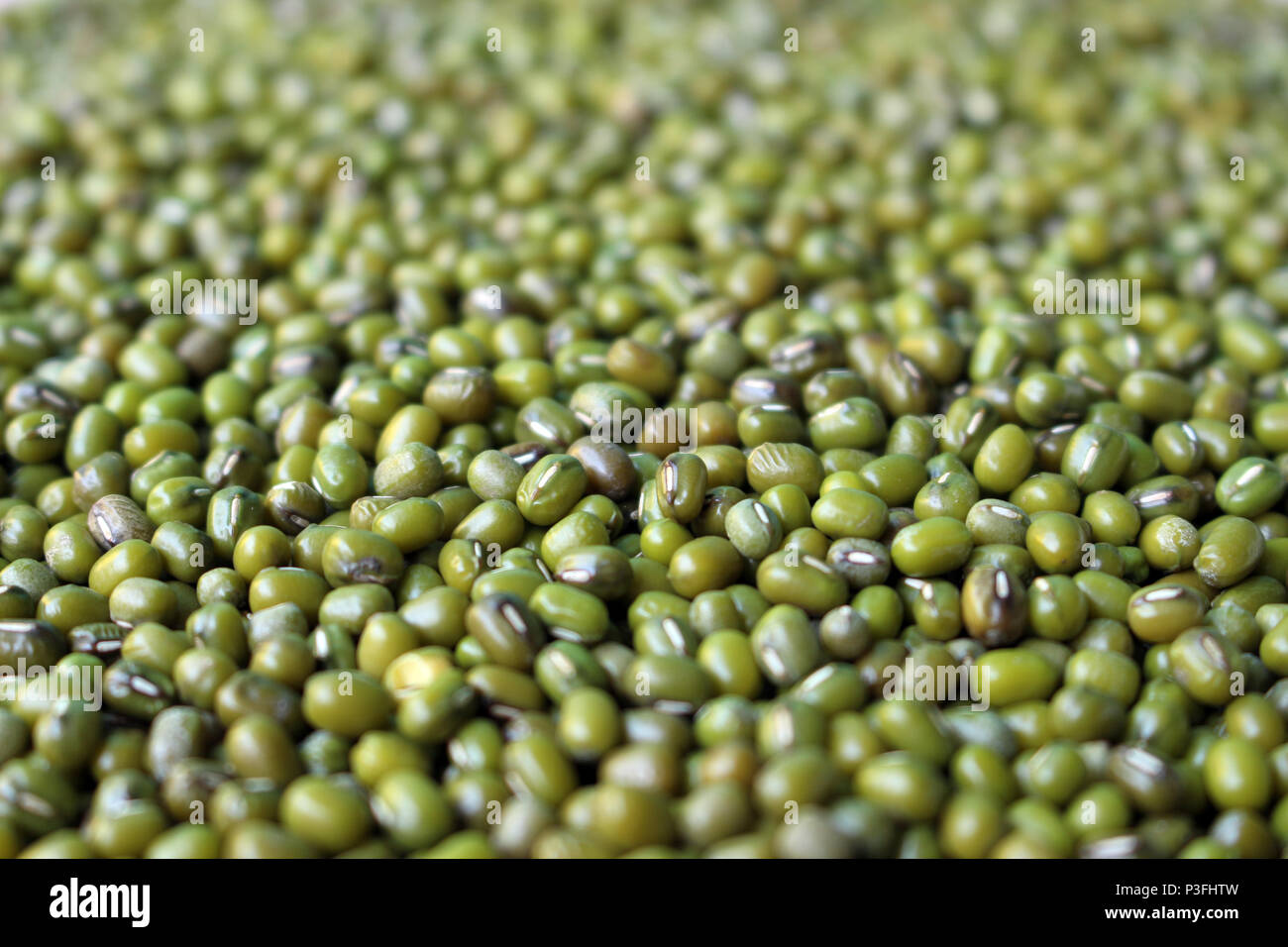 green bean seed background Stock Photo Alamy