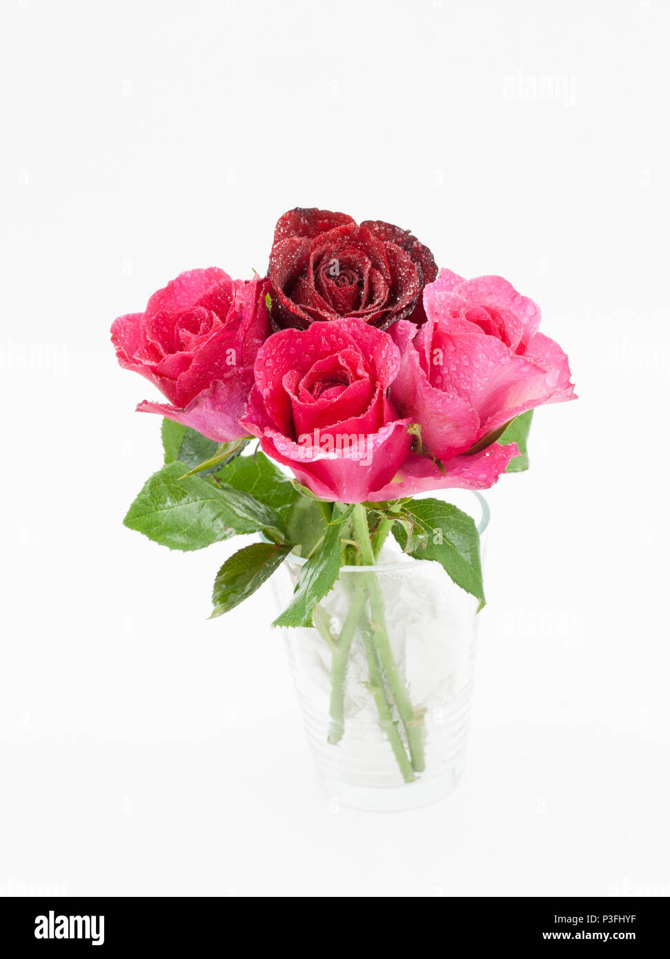 Group of Rose isolated over white Stock Photo