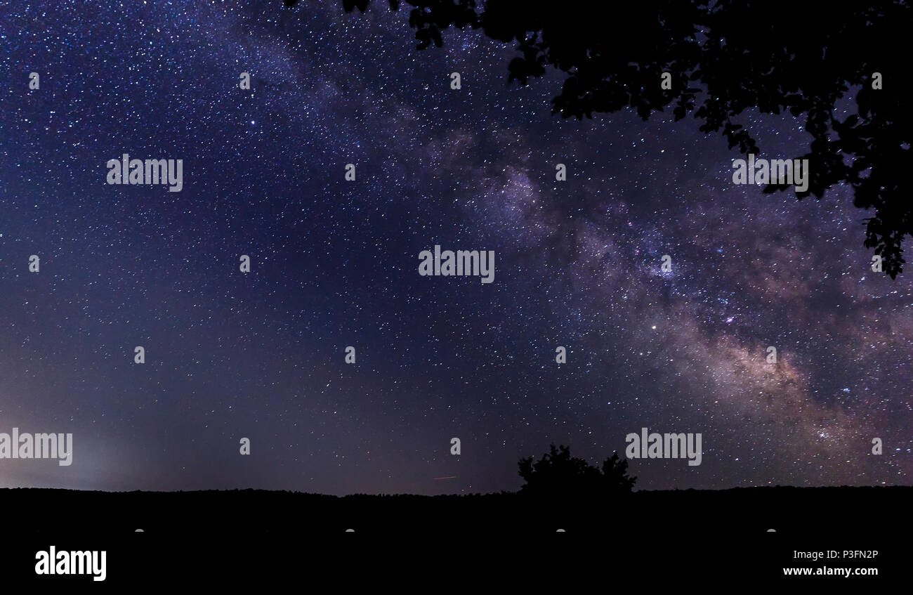 Silhouette of tree branches against the background of the milky way ...