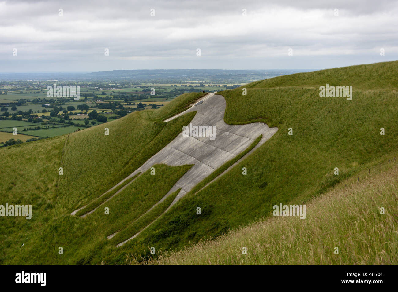 Westbury white horse looking grey and dingy in need of a clean up. Stock Photo