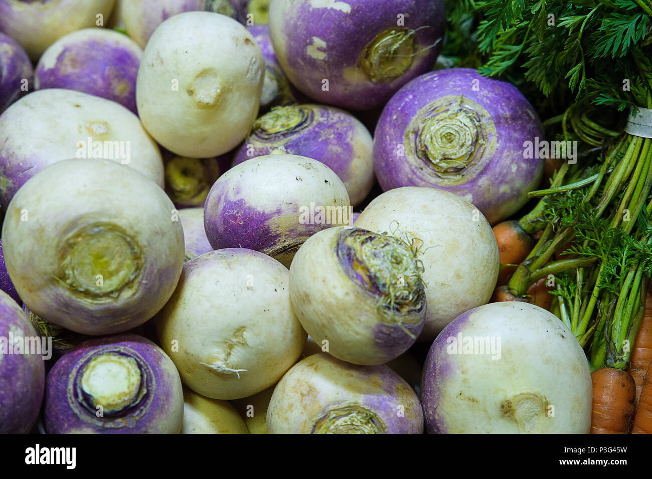 Brassica rapa or turnips and bunch of carrots with tops at the Farmer's Market Stock Photo Alamy