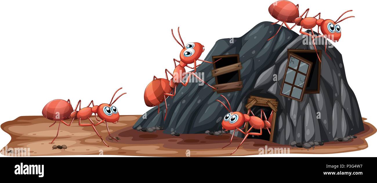 Worker Ants on White Background illustration Stock Vector