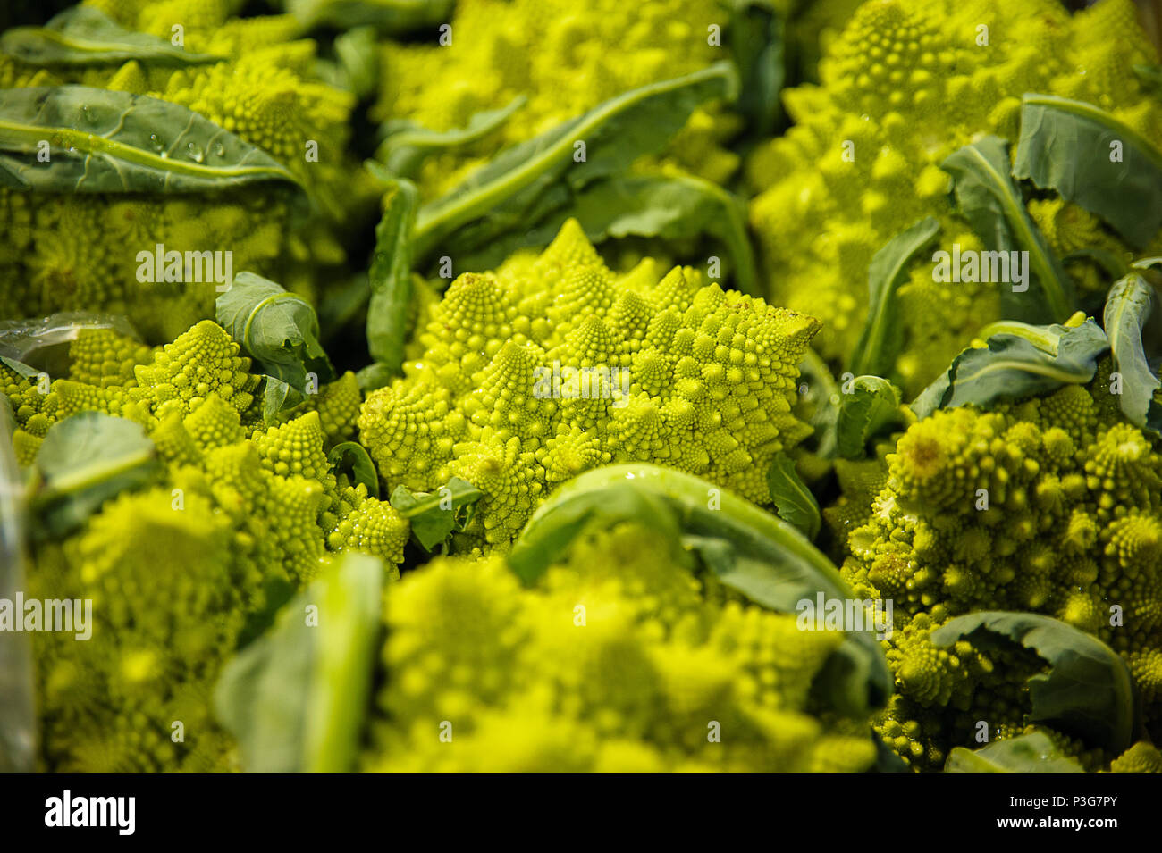 Horizontal shot of beautiful and unusual Romanesco broccoli, an alternative vegetable for broccoli or cauliflower at the farmers market Stock Photo