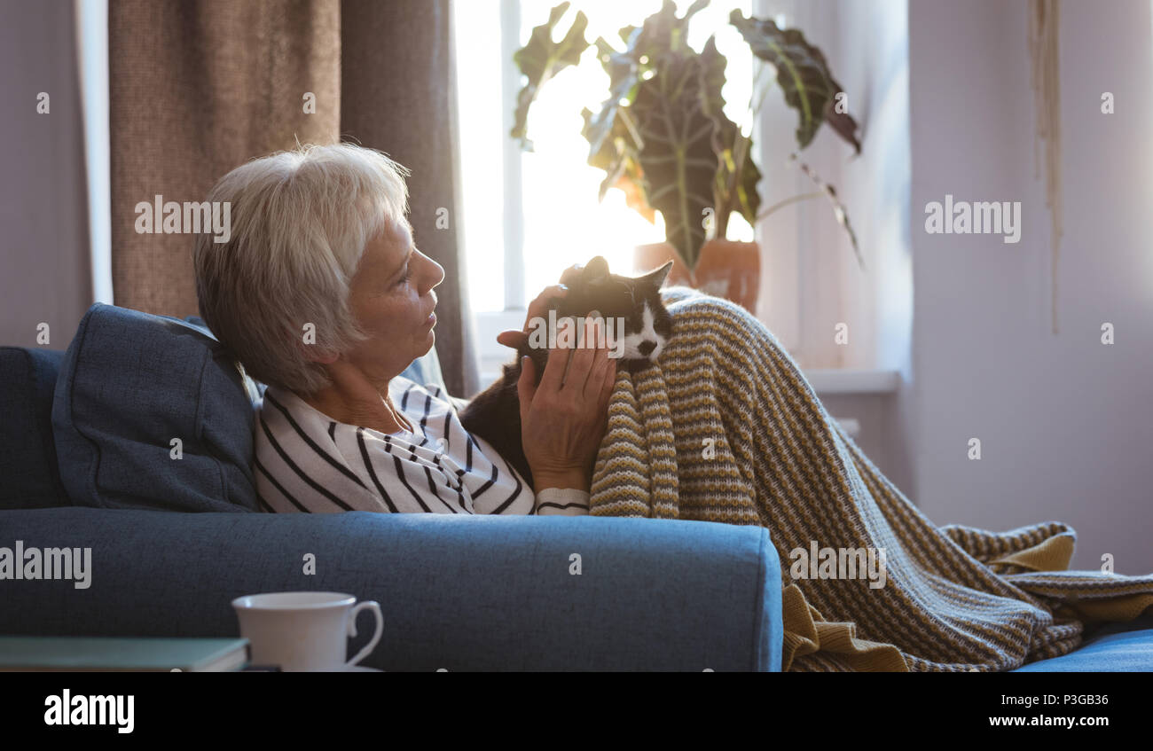 Senior woman relaxing on sofa stroking her cat in living room Stock Photo
