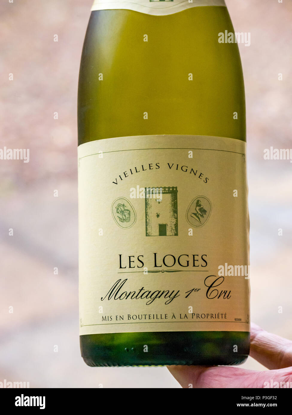 Hand holding bottle of chilled fine quality French white wine, Montagny 1er Cru, Les Loges, Vieilles Vignes 2016 Stock Photo