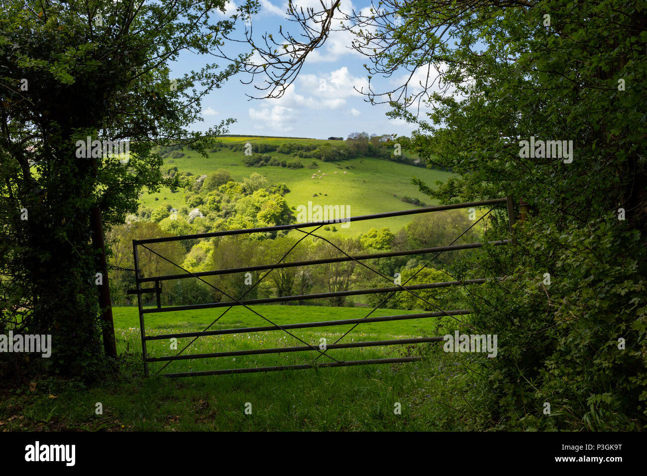 A metal bar gate leading onto lush green countryside. Stock Photo