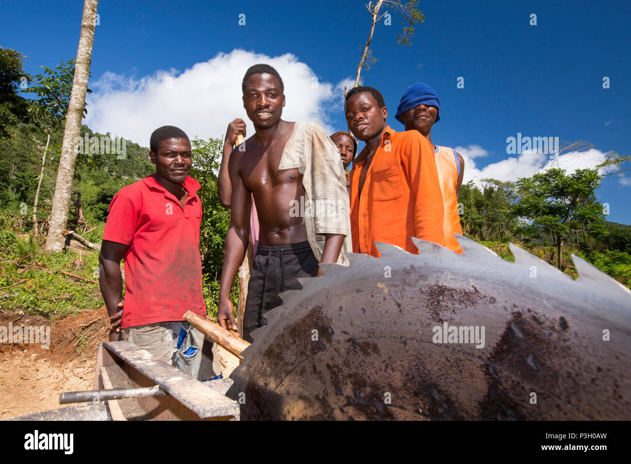 Portrait of Malawi men at logging camp with table saw, Zomba Plateau, Malawi Stock Photo