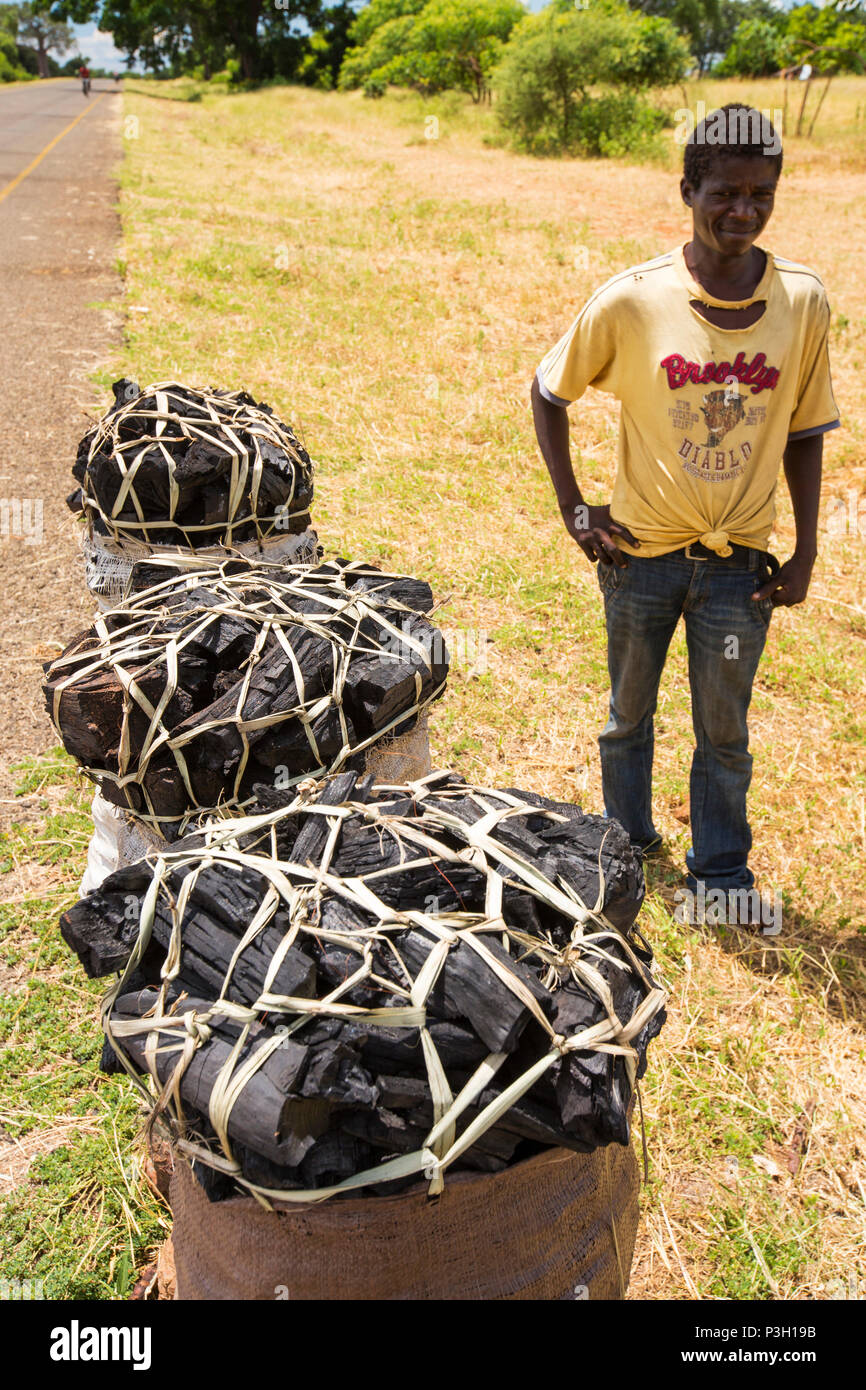 Man selling charcoal on side of road, Malawi Stock Photo Alamy