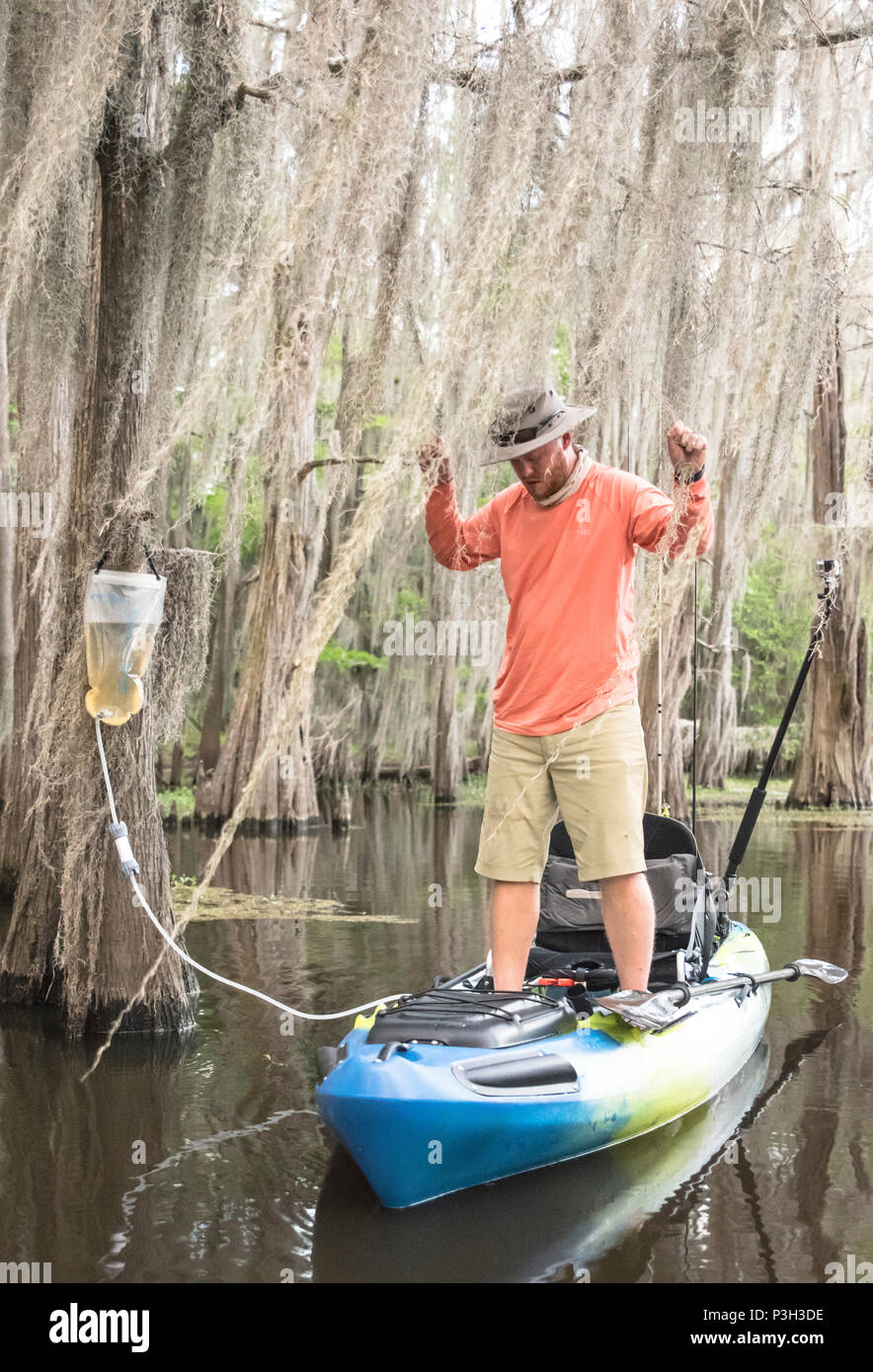 Angler filtering water in cypress forest Stock Photo